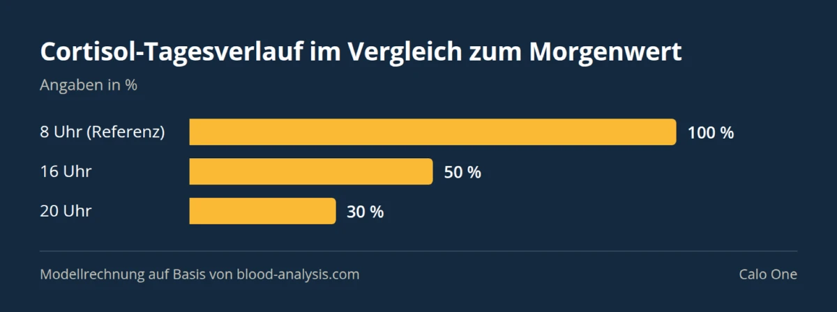 Balkendiagramm: Cortisol-Tagesverlauf im Vergleich zum Morgenwert — 8 Uhr (Referenz) 100 %, 16 Uhr 50 %, 20 Uhr 30 %