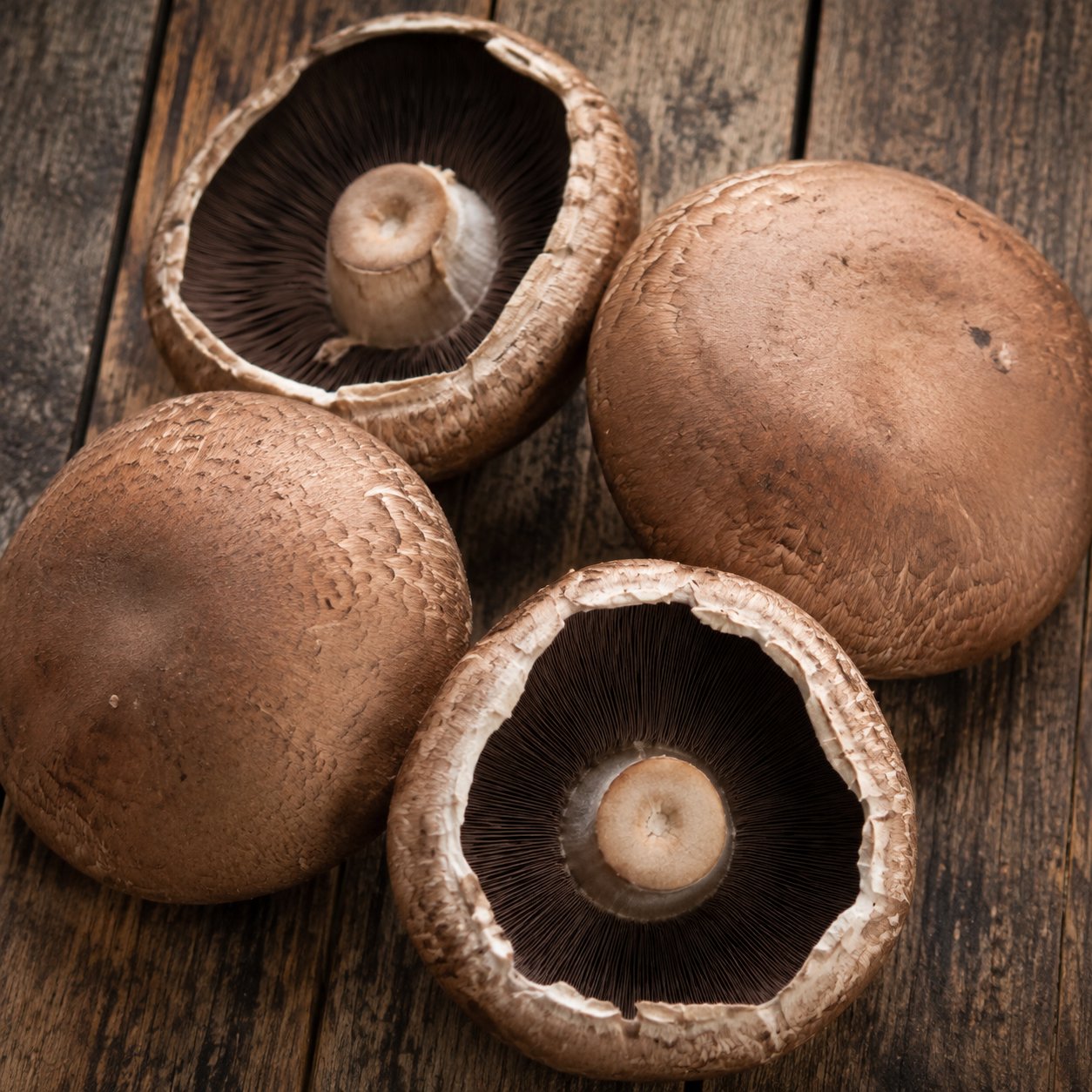 Portobello-Pilz Kalorien und Nährwerte