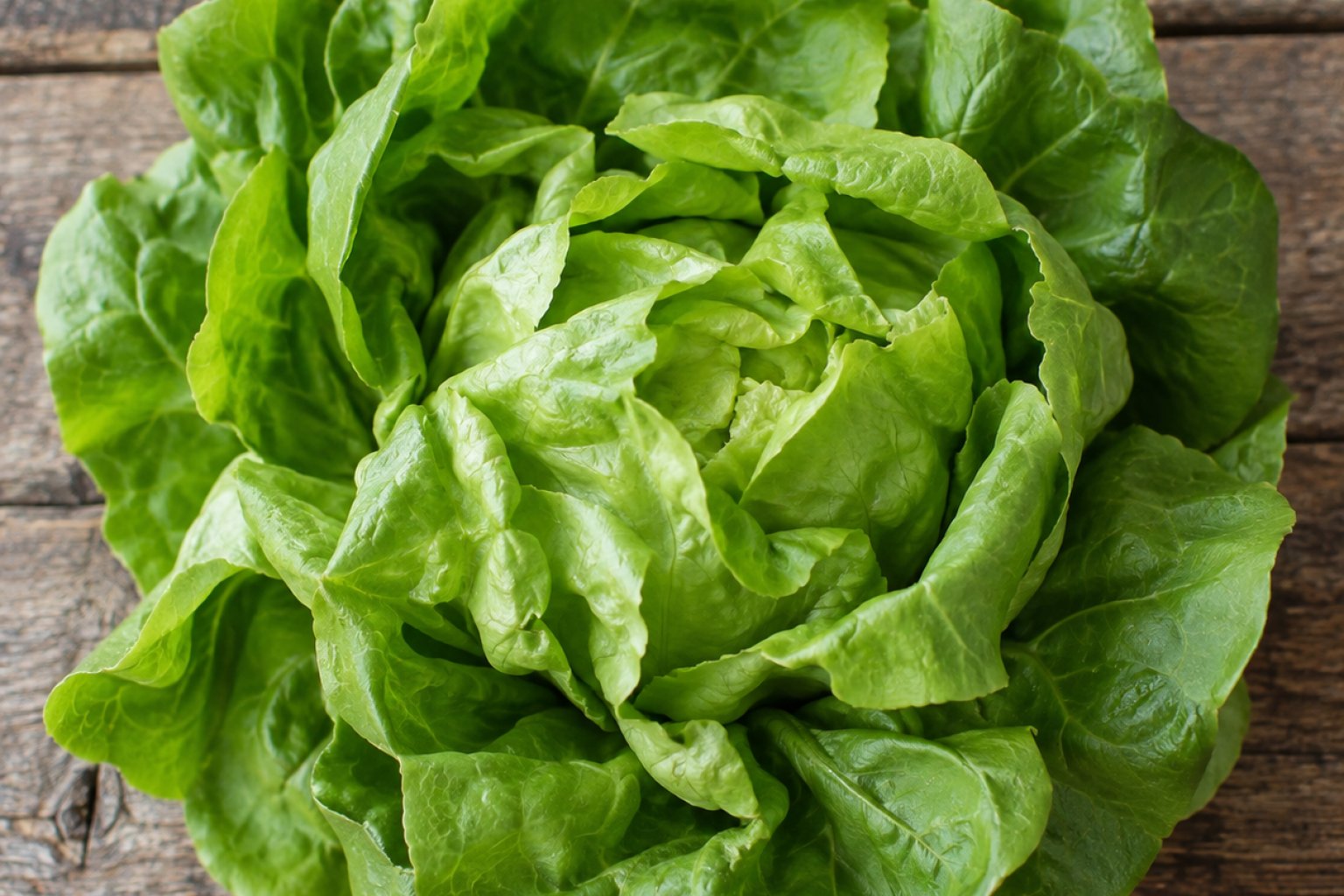 Kopfsalat Kalorien und Nährwerte