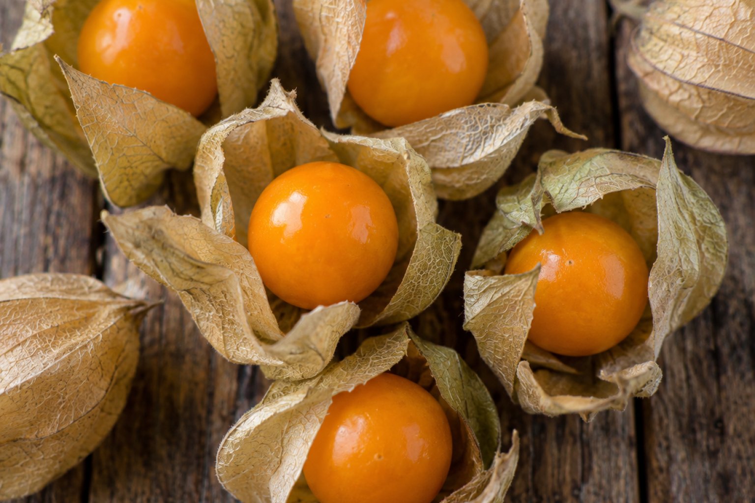 Physalis (frisch) Kalorien und Nährwerte