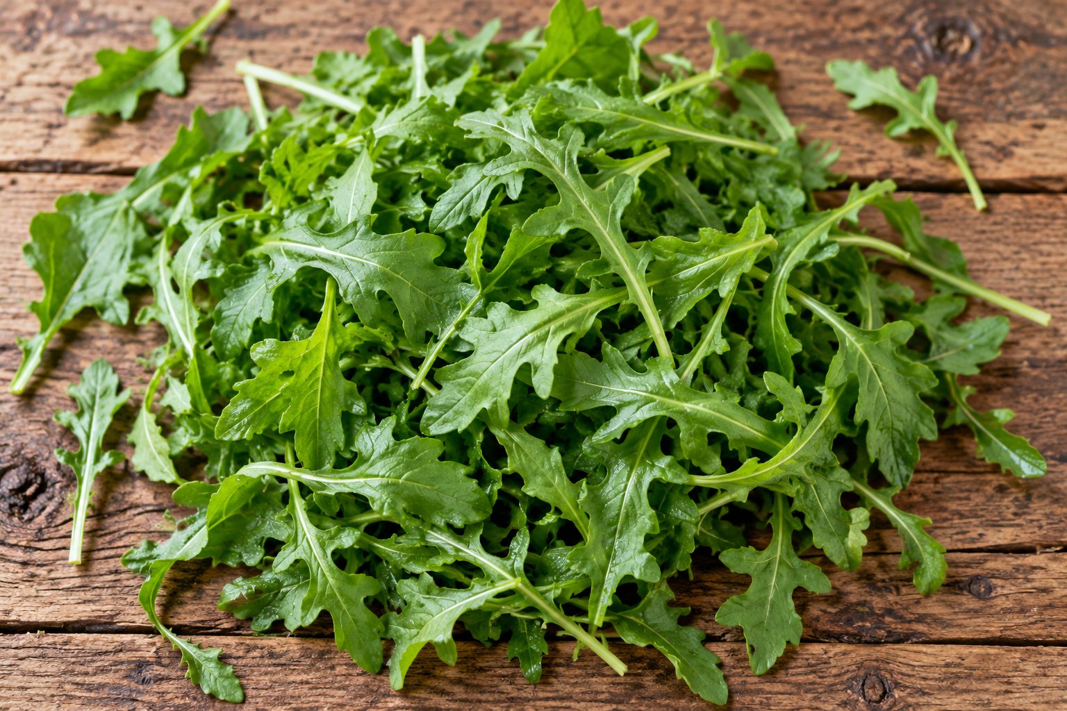 Rucola-Salat (fertig gemischt) Kalorien und Nährwerte